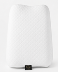 Bi Persona Pillow